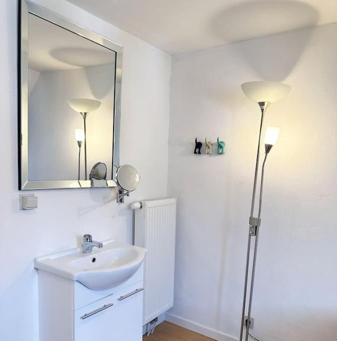 Large Quiet Whole House Near Historic Gent Centre Villa Eksteriør bilde